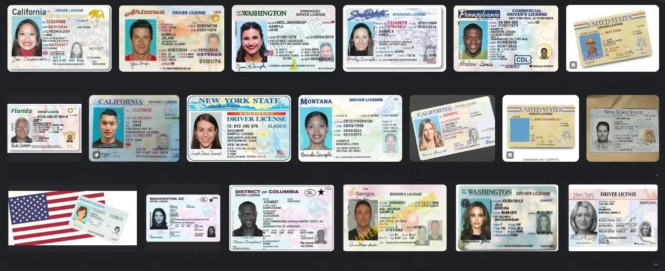 All-USA-driving-license-1